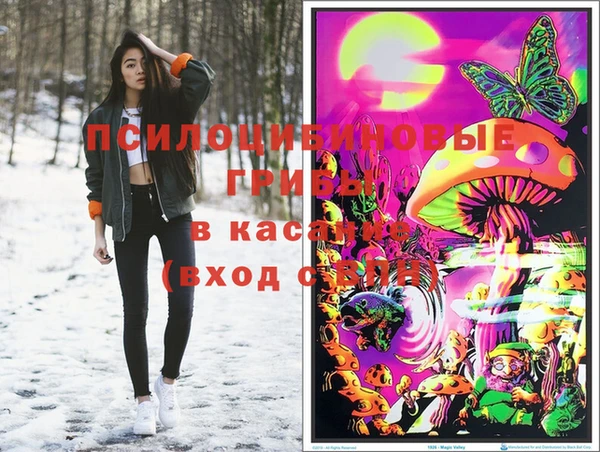 молекула духа Медвежьегорск