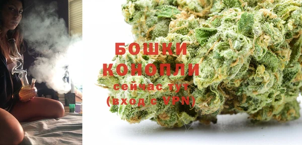 молекула духа Медвежьегорск