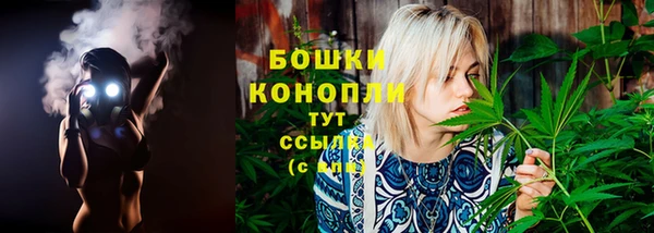 молекула духа Медвежьегорск