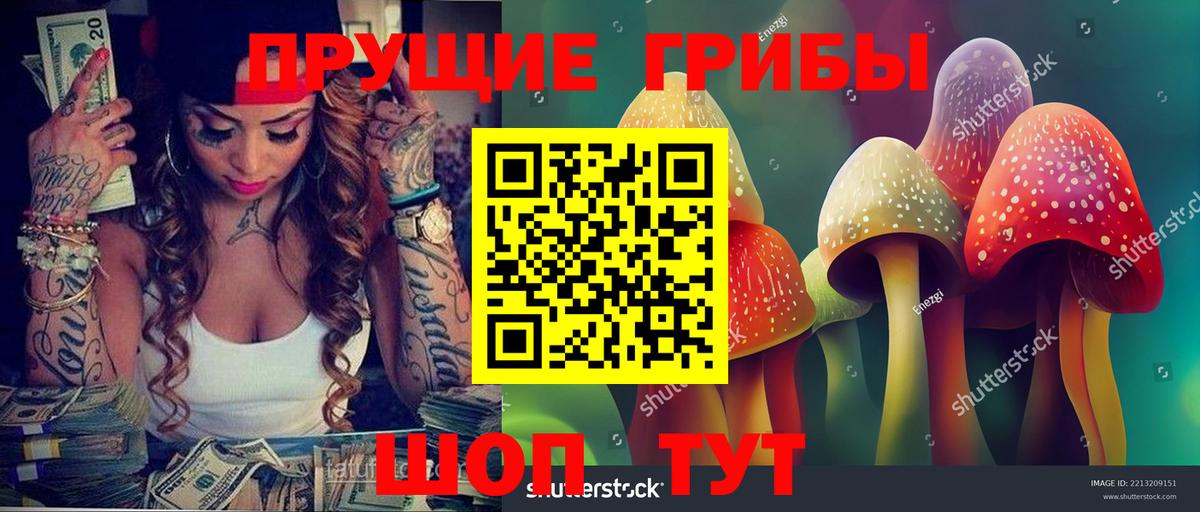 Галлюциногенные грибы Psilocybine cubensis Добрянка